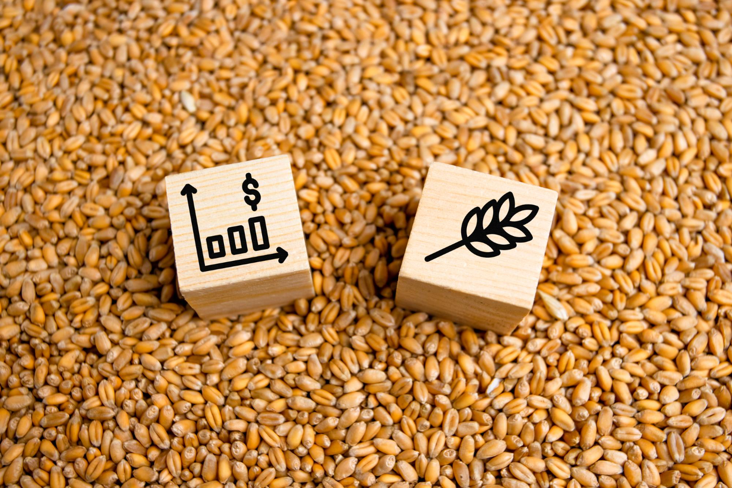 Como reduzir custos na exportação de commodities sem comprometer a competitividade?